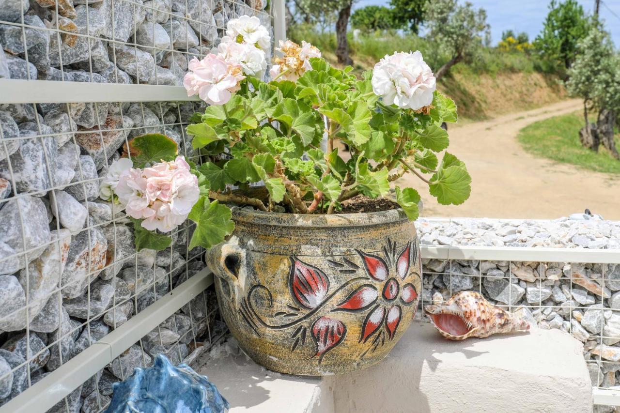 Casa Rozana - Skiathos ภายนอก รูปภาพ